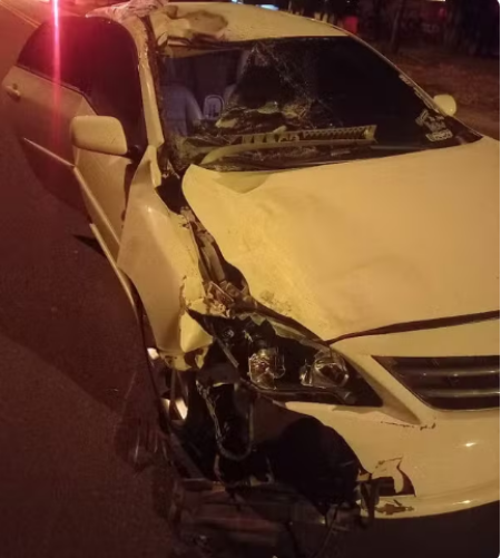 Casal fica ferido apÃ³s colisÃ£o de carro contra cavalo no meio da pista na Rodovia Arlindo BÃ©ttio