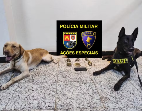 Passageiro flagrado com haxixe marroquino em ônibus interestadual acaba preso por tráfico internacional de droga