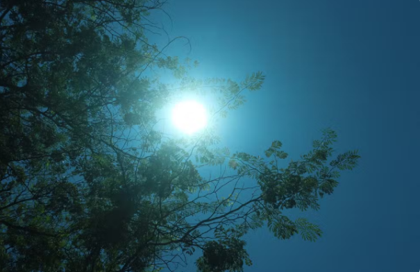 Região de Presidente Prudente registra menor índice de chuva no mês de janeiro em quase três décadas