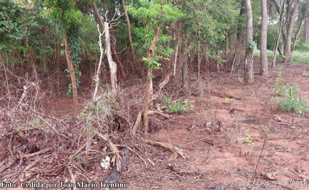 Polícia ambiental aplica multa de 2,695,00 por destruição de vegetação nativa em Arco-Iris 