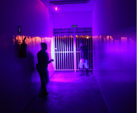 ForÃ§a-tarefa previne apariÃ§Ã£o de escorpiÃµes em escolas e creches de TupÃ£