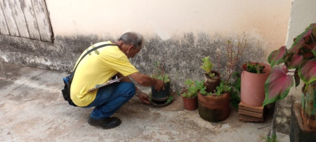 Prefeitura de Adamantina executa AvaliaÃ§Ã£o de Densidade LarvÃ¡ria