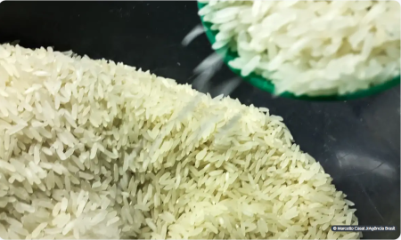 Governo anula leilÃ£o e cancela compra de arroz importado
