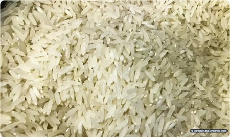 PolÃ­cia Federal abre investigaÃ§Ã£o sobre leilÃ£o de arroz