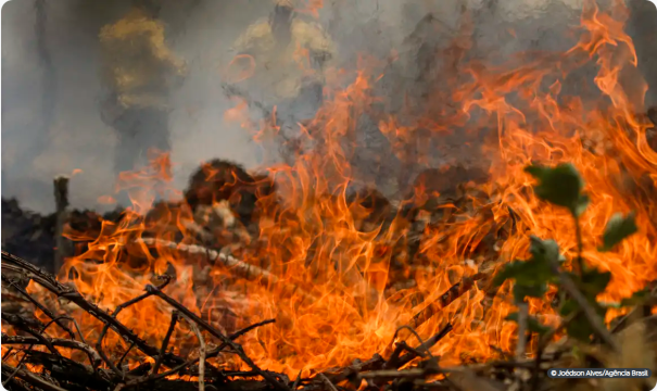 Quase 1/4 do território brasileiro pegou fogo nos últimos 40 anos