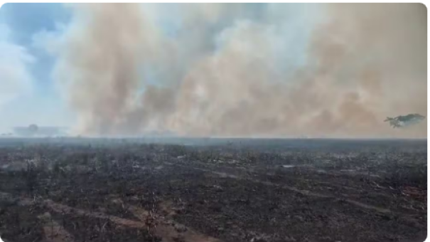 Fogo consome fazenda próxima ao Parque Estadual Rio do Peixe