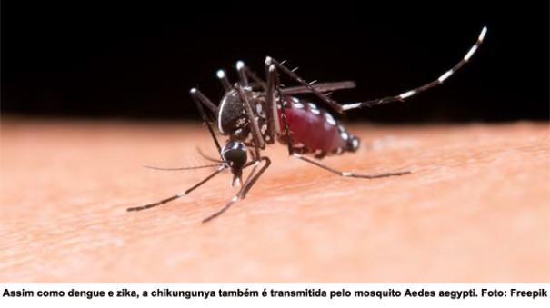 Tupã tem mais 10 casos de Chikungunya confirmados