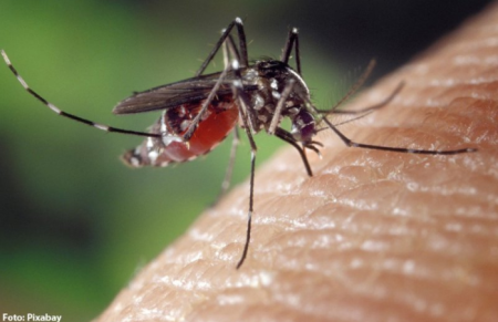 TupÃ£ (SP) confirma quinto caso de chikungunya em 2024