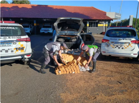 Motorista Ã© flagrado com 50 quilos de maconha e outras drogas em Assis