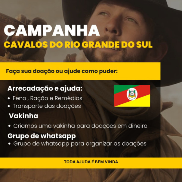 Veterinário de Osvaldo Cruz vai para o Sul ajudar a cuidar de animais de grande porte atingidos pelas enchentes