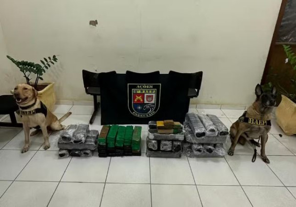 Fiscalização prende quatro pessoas com mais de 80 quilos de maconha em Presidente Bernardes