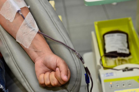 Estudo em Prudente sugere incluir triagem para detectar leishmaniose em doaÃ§Ã£o de sangue