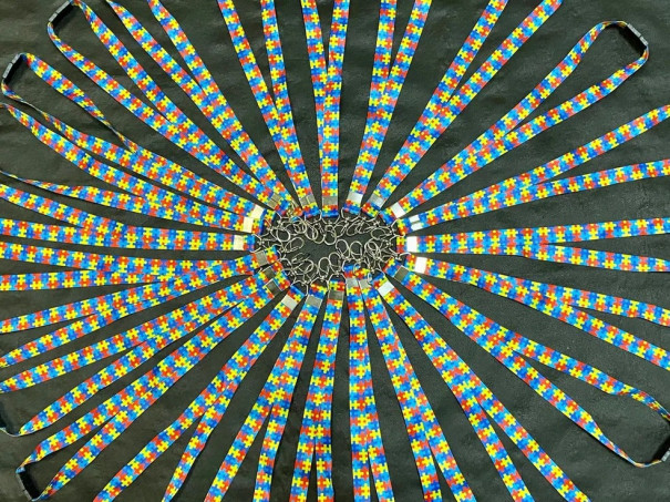 Região de Presidente Prudente emite quase 650 carteiras de identificação da pessoa com Transtorno do Espectro Autista; veja como obter o documento