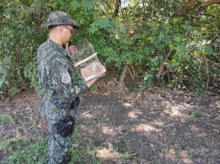 Moradora de Panorama leva multa de R$ 2 mil por manter em cativeiro quatro aves da fauna silvestre