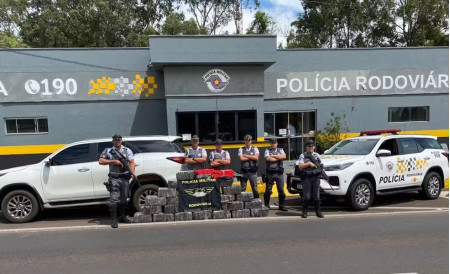 Motorista desobedece sinal de parada da polÃ­cia e abandona carro com meia tonelada de maconha em matagal, em Regente FeijÃ³