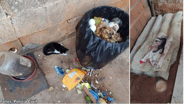 Maus tratos a animais resulta na apreensão de drogas e munições em Iacri (SP)