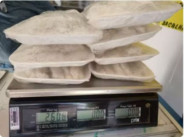 Comerciante é multado por vender peixes provenientes de pesca proibida, em Dracena