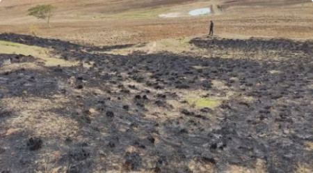 Agricultor Ã© multado em R$ 6 mil apÃ³s colocar fogo em Ã¡rea agropastoril, em Ãlvares Machado