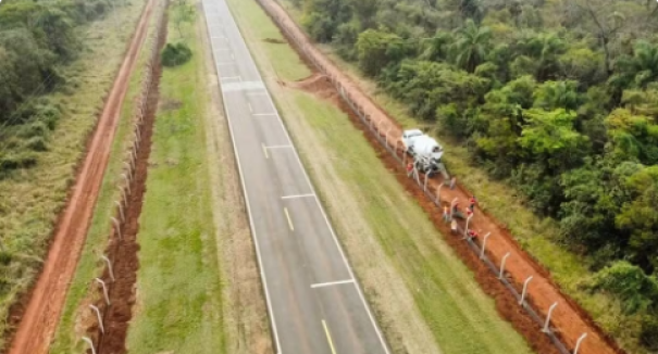 Trechos da Rodovia Arlindo Béttio recebem cercamento que auxilia na proteção de animais silvestres