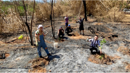 Em LucÃ©lia, voluntÃ¡rios atuam para recuperar Ã¡rea degradada por incÃªndios no Salto Botelho
