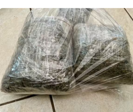 Mulher Ã© presa com quase 200kg de maconha e porÃ§Ã£o de haxixe escondidos dentro de porta-malas de carro, em Osvaldo Cruz