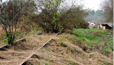 Retomada: limpeza da malha ferroviÃ¡ria jÃ¡ ocorre em PompÃ©ia