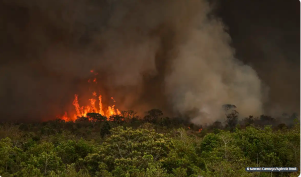 Barroso pede ao Judiciário seriedade no combate a queimadas criminosas