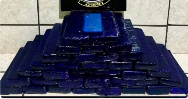 Passageira de ônibus é presa com 35 tabletes de maconha dentro de bagagens, em Presidente Epitácio