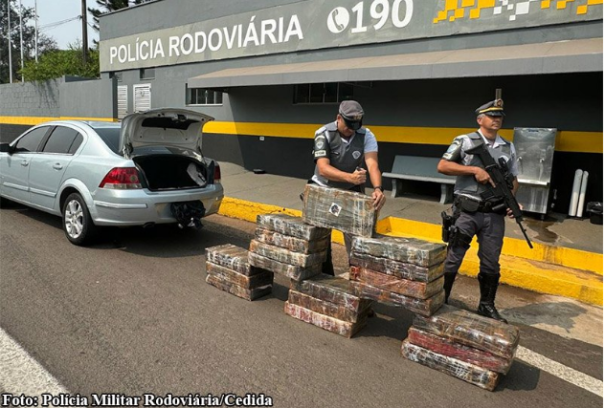 Motorista é preso com 311 kg de maconha na Rodovia Assis Chateaubriand