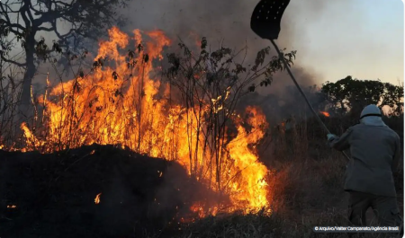 MPF aciona justiÃ§a para contrataÃ§Ã£o de brigadistas contra incÃªndios