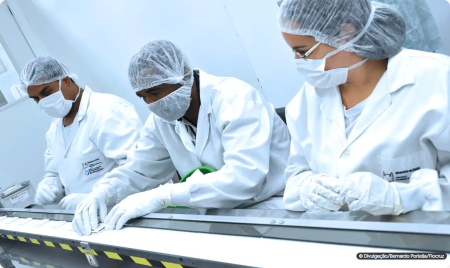 ProduÃ§Ã£o cientÃ­fica cai 7% em 2023 e volta ao patamar prÃ©-pandemia 