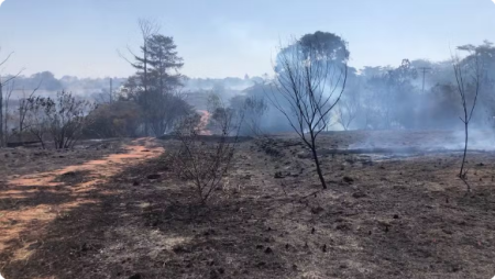 IncÃªndio destrÃ³i 12 hectares de Ã¡rea de pastagem Ã s margens de estrada vicinal, em Osvaldo Cruz 