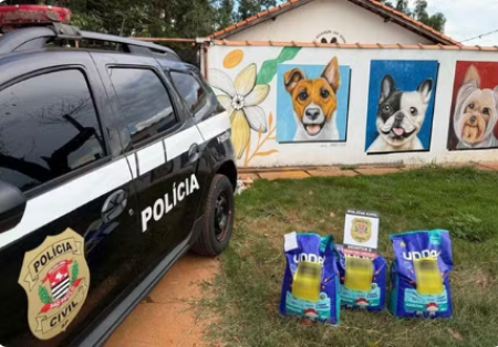 ApÃ³s pitbulls matarem gato, tutor faz doaÃ§Ã£o de raÃ§Ã£o para abrigo de animais abandonados, em Presidente Venceslau