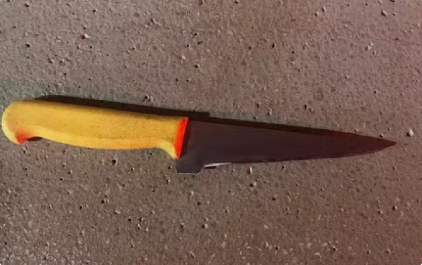 Jovem de 19 anos golpeia homem com faca e acaba presa por lesão corporal e agressão culposa em Teodoro Sampaio