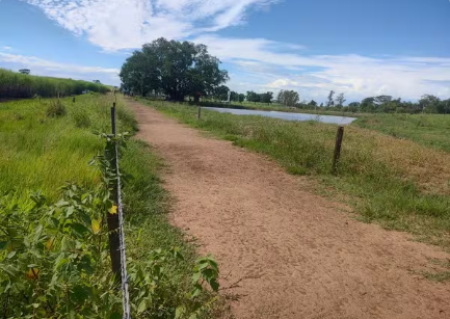 Sitiante Ã© multado em mais de R$ 10 mil por destruiÃ§Ã£o de vegetaÃ§Ã£o nativa, em Nova Guataporanga