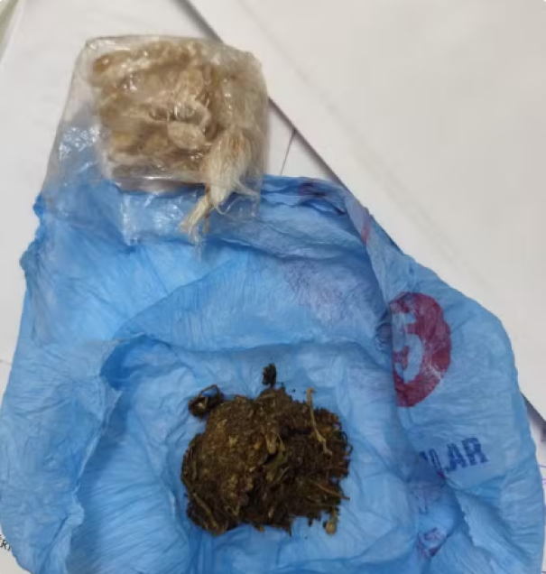 Adolescente é apreendido suspeito de vender crack e maconha a alunos em escola estadual, em Álvares Machado