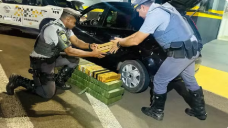 Com mais de 195kg de maconha em porta-malas, motorista Ã© preso na Rodovia Raposo Tavares, em Presidente Prudente