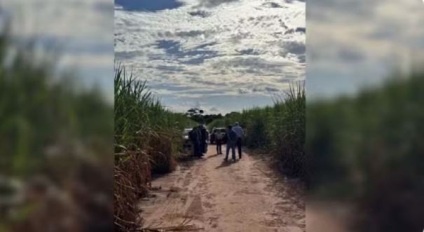 Corpo de mulher é encontrado em canavial às margens de rodovia em Araçatuba