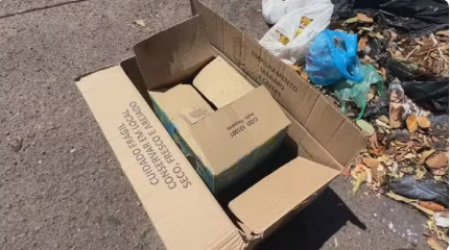 MÃ£e de recÃ©m-nascido encontrado com cordÃ£o umbilical dentro de caixa de papelÃ£o Ã© liberada pela JustiÃ§a