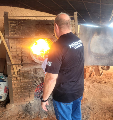 PolÃ­cia Civil incinera mais de 15 quilos de drogas apreendidas na regiÃ£o de Dracena