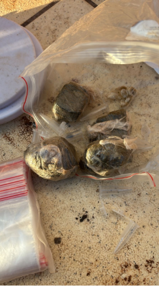 Polícia Civil de Osvaldo Cruz realiza ação contra o tráfico de drogas