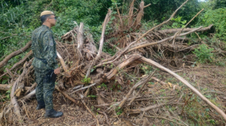 ProprietÃ¡rio rural em Osvaldo Cruz Ã© multado em R$ 4,6 mil por desmatamento