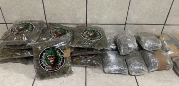 Com 12kg de maconha e skunk em bagagens, dois passageiros são presos na Rodovia Raposo Tavares, em Santo Anastácio