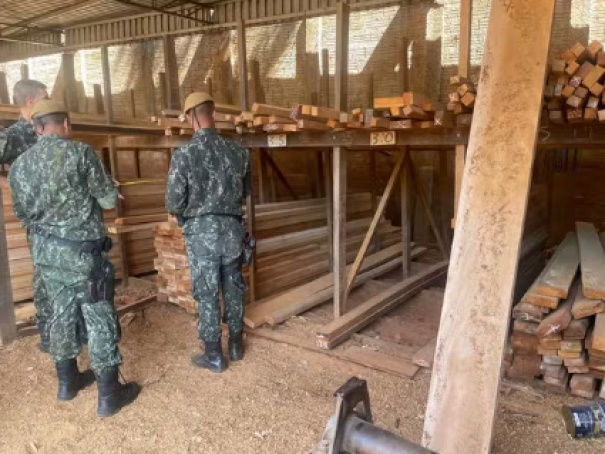 Madeireira é multada em R$ 1,6 mil por irregularidades com Documento de Origem Florestal em Regente Feijó