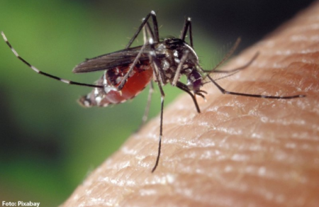 TupÃ£ registra 4Âª morte por chikungunya e prefeitura recorre Ã  JustiÃ§a para fazer vistoria de focos em imÃ³veis