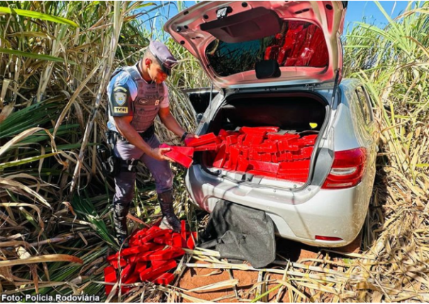 Carro com 304 kg de maconha é apreendido após fugir de abordagem em rodovia de Quatá (SP)