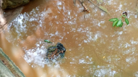 Trabalhadores encontram ossada humana em cÃ³rrego, em Adamantina