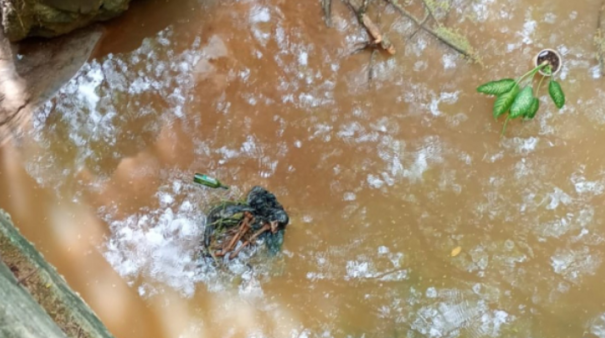 Trabalhadores encontram ossada humana em córrego, em Adamantina