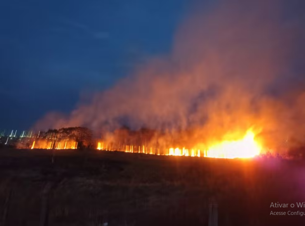 Incêndio atinge área de mata entre Residencial Cremonezi e Conjunto Habitacional João Domingos Netto, em Presidente Prudente