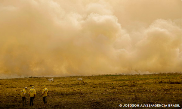 Agosto mantém baixos índices de queimadas após semana crítica